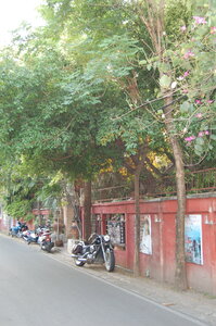 thailande 2013, DSC_0011