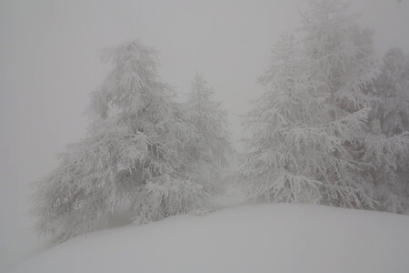 2013-03-23.28-ski-rochebrune, 02-ski-montgenevre-mautino-escalade-aventure-2013-03-24-04