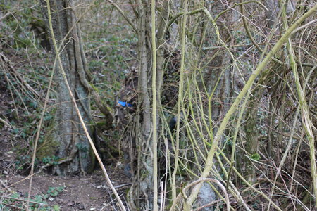 AIRSOFT ANDEVILLE, IMG_0749