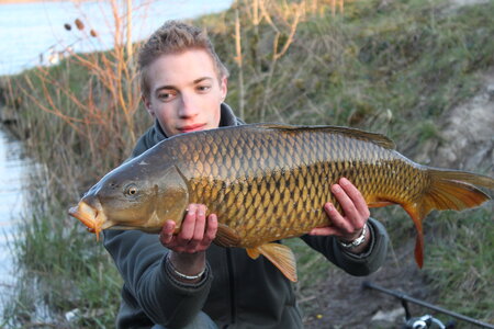 Poisson, IMG_3225