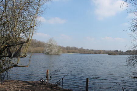 Etang dans l'Eure, IMG_3331