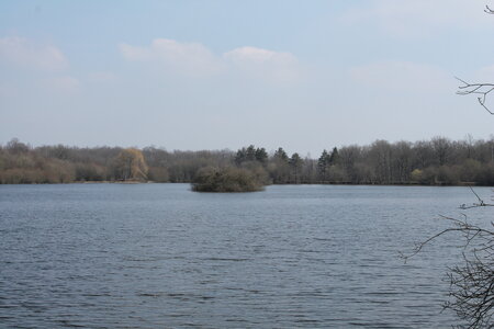 Etang dans l'Eure, IMG_3335