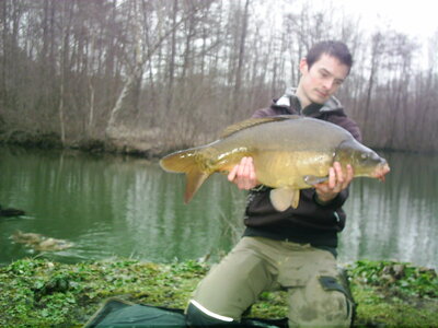 Poisson, PIC_0079