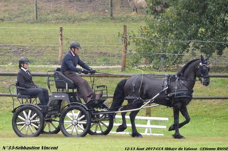 2017-08 CCA Valasse Jeunes chevaux, 33-DSC_9291