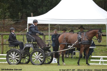 2017-08 CCA Valasse Jeunes chevaux, 36-DSC_9522