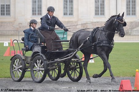 2017-08 CCA Valasse Jeunes chevaux, 37-DSC_9672