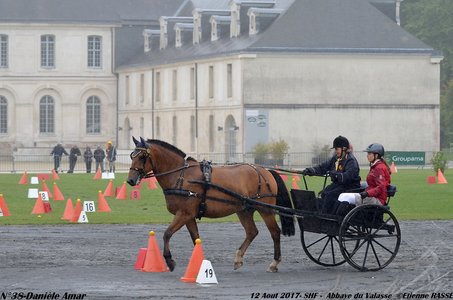 2017-08 CCA Valasse Jeunes chevaux, 38-DSC_9708