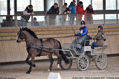 2018-03-18 Indoor Deauville-CCA Amateurs, 01-DSC_4761