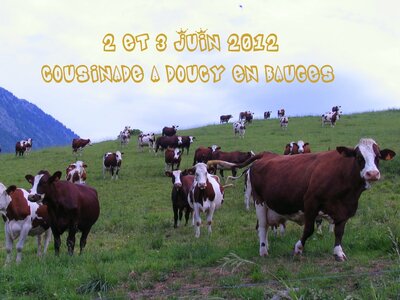 2012-06 cousinade à Doucy, 120602 weand000-1
