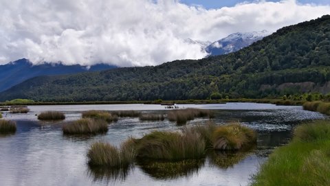 Nouvelle Zélande, novembre à janvier 2019-20, _1260904 raw Entre Monowai et Manapouri  Waiau River   ile du sud