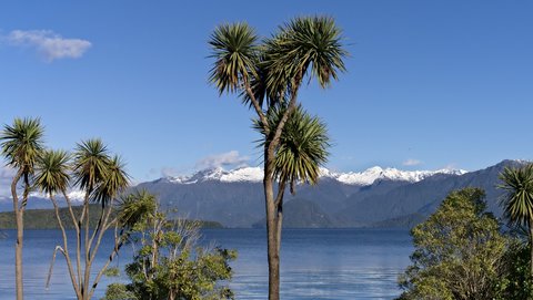 Nouvelle Zélande, novembre à janvier 2019-20, _1260937 raw Lac Manapouri  Fjordland NP  ile du sud