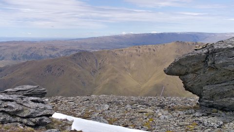 Nouvelle Zélande, novembre à janvier 2019-20, _1270682 raw Proche du Mont rosa  alt 1600m   ile du sud