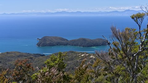 Nouvelle Zélande, novembre à janvier 2019-20, _1270876 raw Adele Island  Inland Track  Abel Tasman  ile du sud