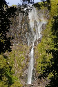 Nouvelle Zélande, novembre à janvier 2019-20, _1250585 Wairere Falls à Kaimail Mamaku Forest  ile du nord