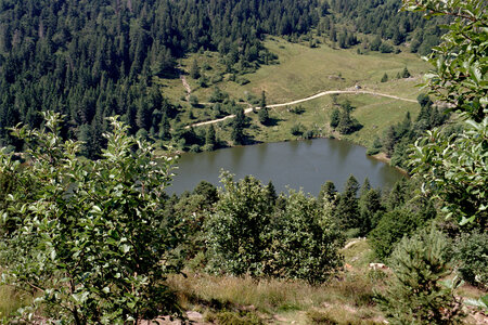 2005-2 randonnées, 015 Lac Forlet, juillet 2005