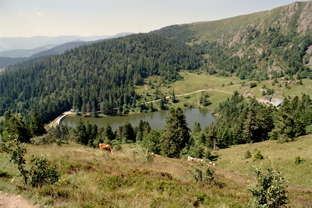 2005-2 randonnées, 016 Lac Forlet, juillet 2005