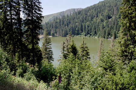 2005-2 randonnées, 017 Lac Forlet, juillet 2005