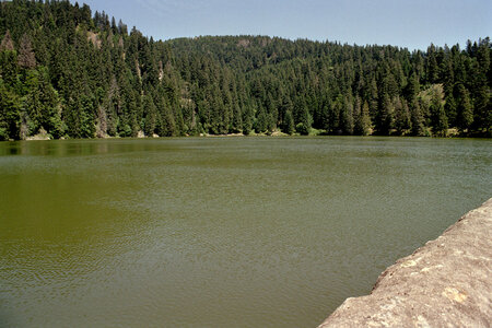 2005-2 randonnées, 019 Lac Forlet, juillet 2005