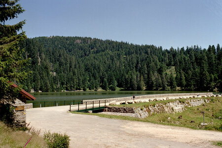 2005-2 randonnées, 020 Lac Forlet, juillet 2005