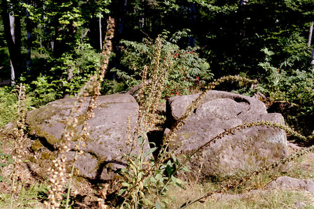 2005-2 randonnées, 044 la pierre à sacrifice près des Stampfloecher, 17 juillet 2005