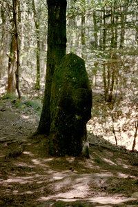 2005-2 randonnées, 053 Le menhir du Frohnberg, 17 juillet