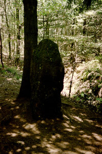 2005-2 randonnées, 054 Le menhir du Frohnberg, 17 juillet