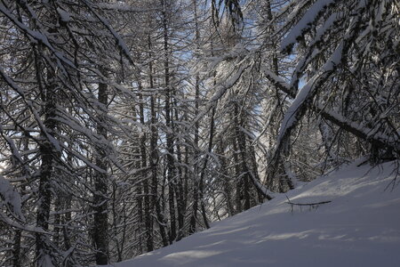 2021-01-22-24-ski-chalet-alpage-coueimian, alpes-aventure-ski-randonnee-chalet-alpage-coueimian-la-croix-col-anon-2021-01-23-24