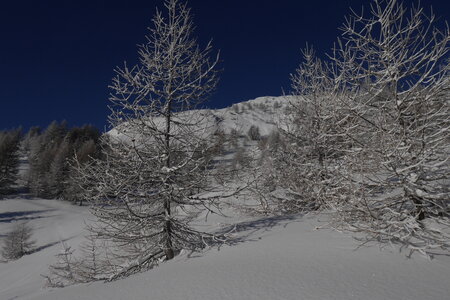 2021-01-22-24-ski-chalet-alpage-coueimian, alpes-aventure-ski-randonnee-chalet-alpage-coueimian-la-croix-col-anon-2021-01-23-29