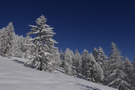 2021-01-22-24-ski-chalet-alpage-coueimian, alpes-aventure-ski-randonnee-chalet-alpage-coueimian-la-croix-col-anon-2021-01-23-54