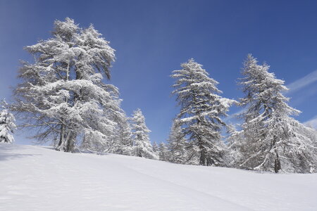 2021-01-22-24-ski-chalet-alpage-coueimian, alpes-aventure-ski-randonnee-chalet-alpage-coueimian-la-croix-col-anon-2021-01-23-61