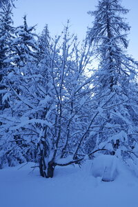2021-01-22-24-ski-chalet-alpage-coueimian, alpes-aventure-ski-randonnee-chalet-alpage-coueimian-le-simous-2021-01-24-002