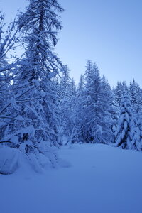 2021-01-22-24-ski-chalet-alpage-coueimian, alpes-aventure-ski-randonnee-chalet-alpage-coueimian-le-simous-2021-01-24-004
