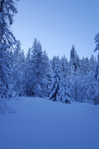 2021-01-22-24-ski-chalet-alpage-coueimian, alpes-aventure-ski-randonnee-chalet-alpage-coueimian-le-simous-2021-01-24-005