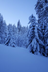 2021-01-22-24-ski-chalet-alpage-coueimian, alpes-aventure-ski-randonnee-chalet-alpage-coueimian-le-simous-2021-01-24-006