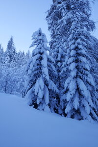 2021-01-22-24-ski-chalet-alpage-coueimian, alpes-aventure-ski-randonnee-chalet-alpage-coueimian-le-simous-2021-01-24-007