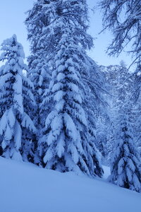 2021-01-22-24-ski-chalet-alpage-coueimian, alpes-aventure-ski-randonnee-chalet-alpage-coueimian-le-simous-2021-01-24-008