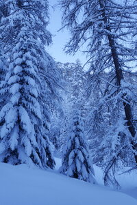 2021-01-22-24-ski-chalet-alpage-coueimian, alpes-aventure-ski-randonnee-chalet-alpage-coueimian-le-simous-2021-01-24-009