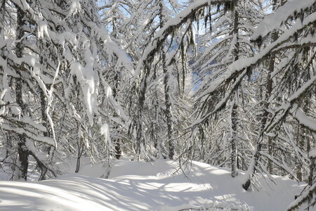 2021-01-22-24-ski-chalet-alpage-coueimian, alpes-aventure-ski-randonnee-chalet-alpage-coueimian-le-simous-2021-01-24-015