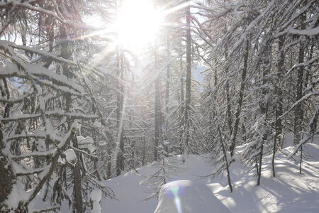 2021-01-22-24-ski-chalet-alpage-coueimian, alpes-aventure-ski-randonnee-chalet-alpage-coueimian-le-simous-2021-01-24-016
