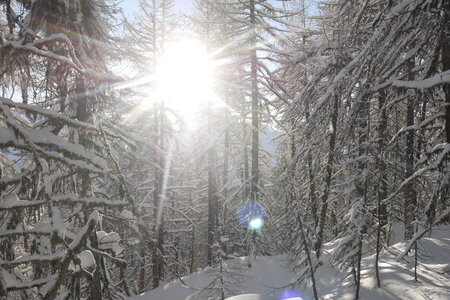 2021-01-22-24-ski-chalet-alpage-coueimian, alpes-aventure-ski-randonnee-chalet-alpage-coueimian-le-simous-2021-01-24-017