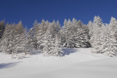 2021-01-22-24-ski-chalet-alpage-coueimian, alpes-aventure-ski-randonnee-chalet-alpage-coueimian-le-simous-2021-01-24-020
