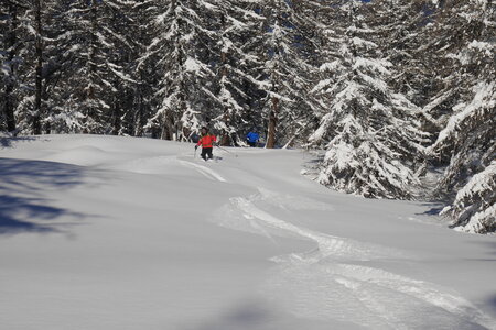 2021-01-22-24-ski-chalet-alpage-coueimian, alpes-aventure-ski-randonnee-chalet-alpage-coueimian-le-simous-2021-01-24-030