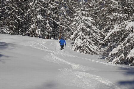2021-01-22-24-ski-chalet-alpage-coueimian, alpes-aventure-ski-randonnee-chalet-alpage-coueimian-le-simous-2021-01-24-050