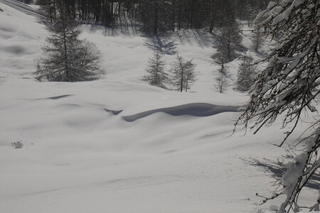 2021-01-22-24-ski-chalet-alpage-coueimian, alpes-aventure-ski-randonnee-chalet-alpage-coueimian-le-simous-2021-01-24-068