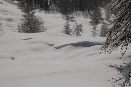 2021-01-22-24-ski-chalet-alpage-coueimian, alpes-aventure-ski-randonnee-chalet-alpage-coueimian-le-simous-2021-01-24-069