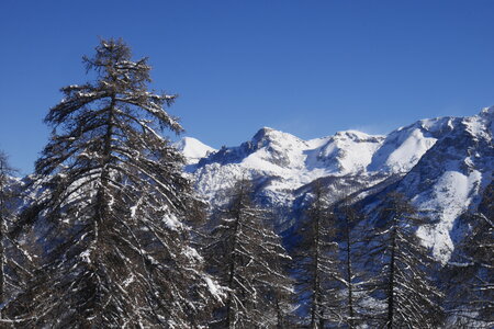 2021-01-22-24-ski-chalet-alpage-coueimian, alpes-aventure-ski-randonnee-chalet-alpage-coueimian-le-simous-2021-01-24-138