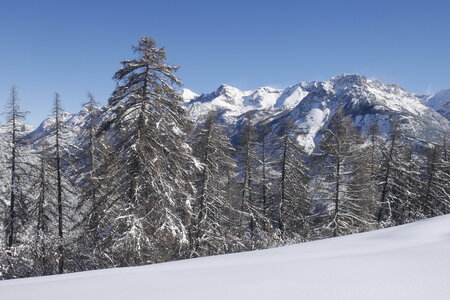2021-01-22-24-ski-chalet-alpage-coueimian, alpes-aventure-ski-randonnee-chalet-alpage-coueimian-le-simous-2021-01-24-139