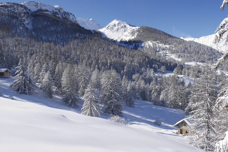 2021-01-22-24-ski-chalet-alpage-coueimian, alpes-aventure-ski-randonnee-chalet-alpage-coueimian-le-simous-2021-01-24-140
