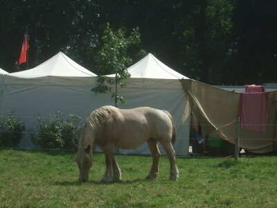 Fête médiévale Malestroit 2011<br>@copyleft <a href=https://www.le-fab-lab.com>Le Fab'Blab</a> Licence Art Libre, malestroit-2011-chevaux-02