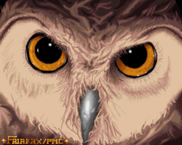 Amiga Pixel art 1, Fairfax-Fairfax_Owl